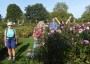 Queen Mary's Rose Garden, Regent's Park Queen Mary's Rose Garden, Regent's Park