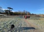 Beautiful frosty Day Beautiful frosty Day