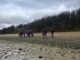 Stutton Shore