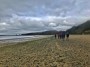 Stutton Shore
