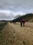 Stutton Shore