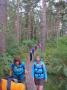 In the Sanquhar Woods In the Sanquhar Woods