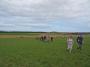 Walking up Califer Hill from Easter Newforres Walking up Califer Hill from Easter Newforres
