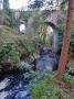 Scurrypool bridge on the Dava Way. © Dianne Mcleish