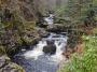Salmon leaps on the river Divie © Dianne Mcleish Salmon leaps on the river Divie © Dianne Mcleish