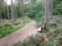 Quarrelwoods Quarrelwoods