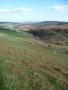  What a view of the coquet valley by Chris McDowell