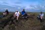 Lunch on the Famine Road Lunch on the Famine Road