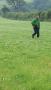 Dave in green in a green field Dave in green in a green field