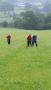 In a field of green In a field of green