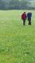 In a field of green In a field of green