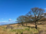 Drinkwater&rsquo;s ruined Farmhouse