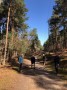 Hankley Common Hankley Common