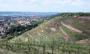 From Bismarckturm From Bismarckturm