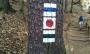 Waymarks Waymarks