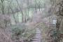 Path up from CW towards Russell's Water Common Path up from CW towards Russell's Water Common