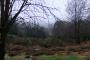 Punchbowl Punchbowl