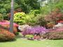Valley Gardens Valley Gardens