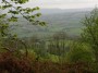 Edge of Wentwood, overlooking the Usk Edge of Wentwood, overlooking the Usk