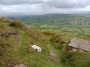 Start of descent from Offa's Dyke Path Start of descent from Offa's Dyke Path