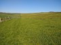 On loop from Beachy Head On loop from Beachy Head