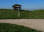 Trig at end of Eastern loop, rejoining Sussex Stride Trig at end of Eastern loop, rejoining Sussex Stride