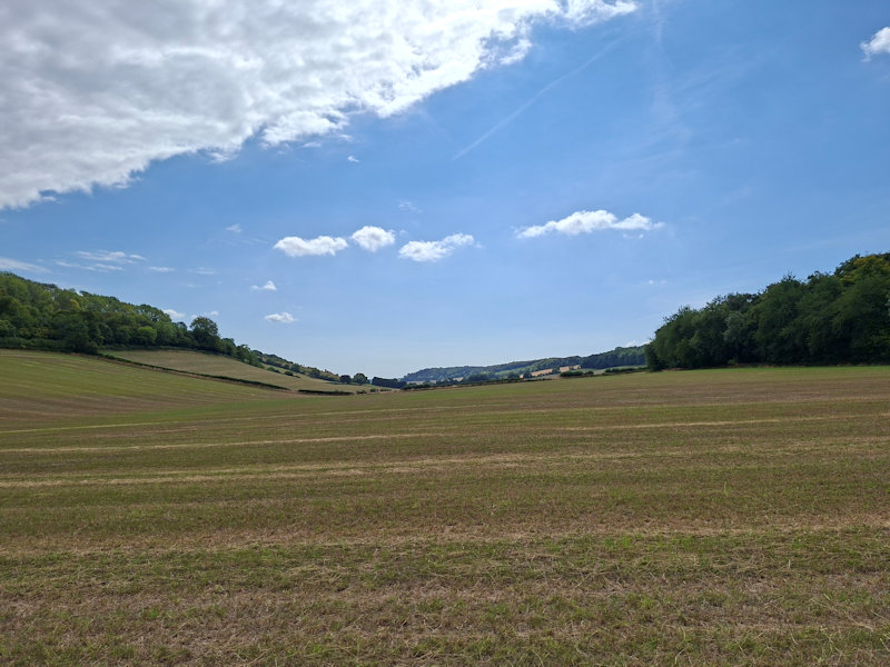 View after Cake