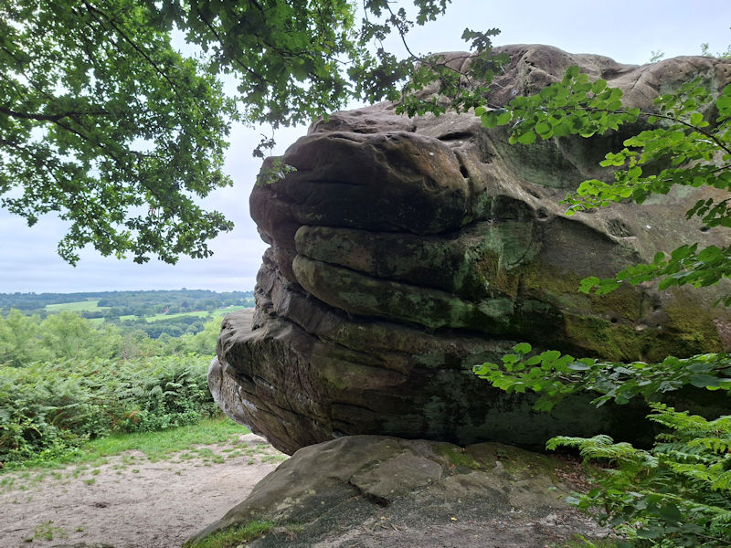 Sussex Loops