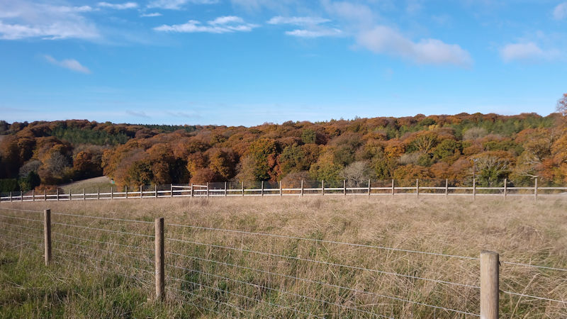 Meeting with the Gruffolo Autumn Colours