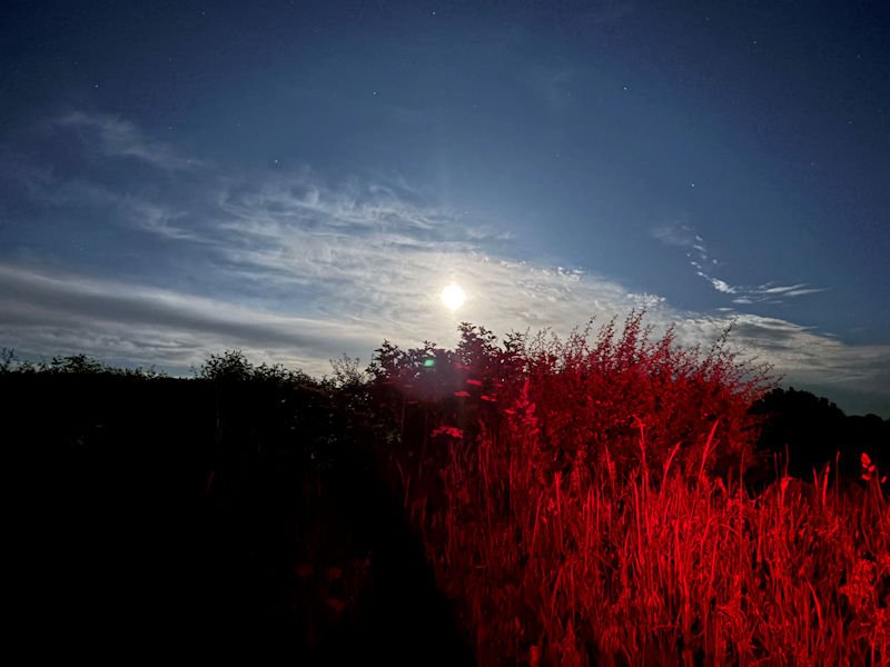 Blue Moon 1