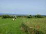 10 The view over Ryedale 10 The view over Ryedale