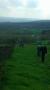 Uphill Uphill