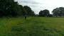 Yet another mile long field! Yet another mile long field!