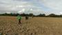  A RECENTLY ploughed field (it was not ploughed when i rec'd the walk Tom!)