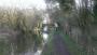 Chesterfield canal towards Gringley on the Hill Chesterfield canal towards Gringley on the Hill
