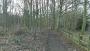 Armthope Shaw Wood Armthope Shaw Wood