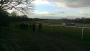 Todays runners & riders with a great view of the grandstand Todays runners & riders with a great view of the grandstand