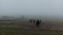 15 LDWA members started Roy's "Low Level & Green" walk today 15 LDWA members started Roy's "Low Level & Green" walk today