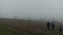 A misty start A misty start