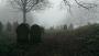  High Hoyland churchyard (spooky)