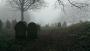 High Hoyland churchyard (spooky) High Hoyland churchyard (spooky)