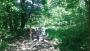 Whitley Woods Whitley Woods