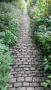 Some smashing old pathways this morning. Some smashing old pathways this morning.