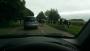 A close encounter of the bovine kind A close encounter of the bovine kind