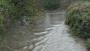River Dearne in full spate River Dearne in full spate