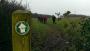 17 Members and 2 visitors today for our pre-AGM walk 17 Members and 2 visitors today for our pre-AGM walk