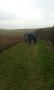  Into the Wolds