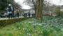 Springtime Springtime