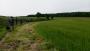 Into the Wolds Into the Wolds