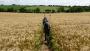 "Fields full of bounty arrrr" said the pirate. "Fields full of bounty arrrr" said the pirate.